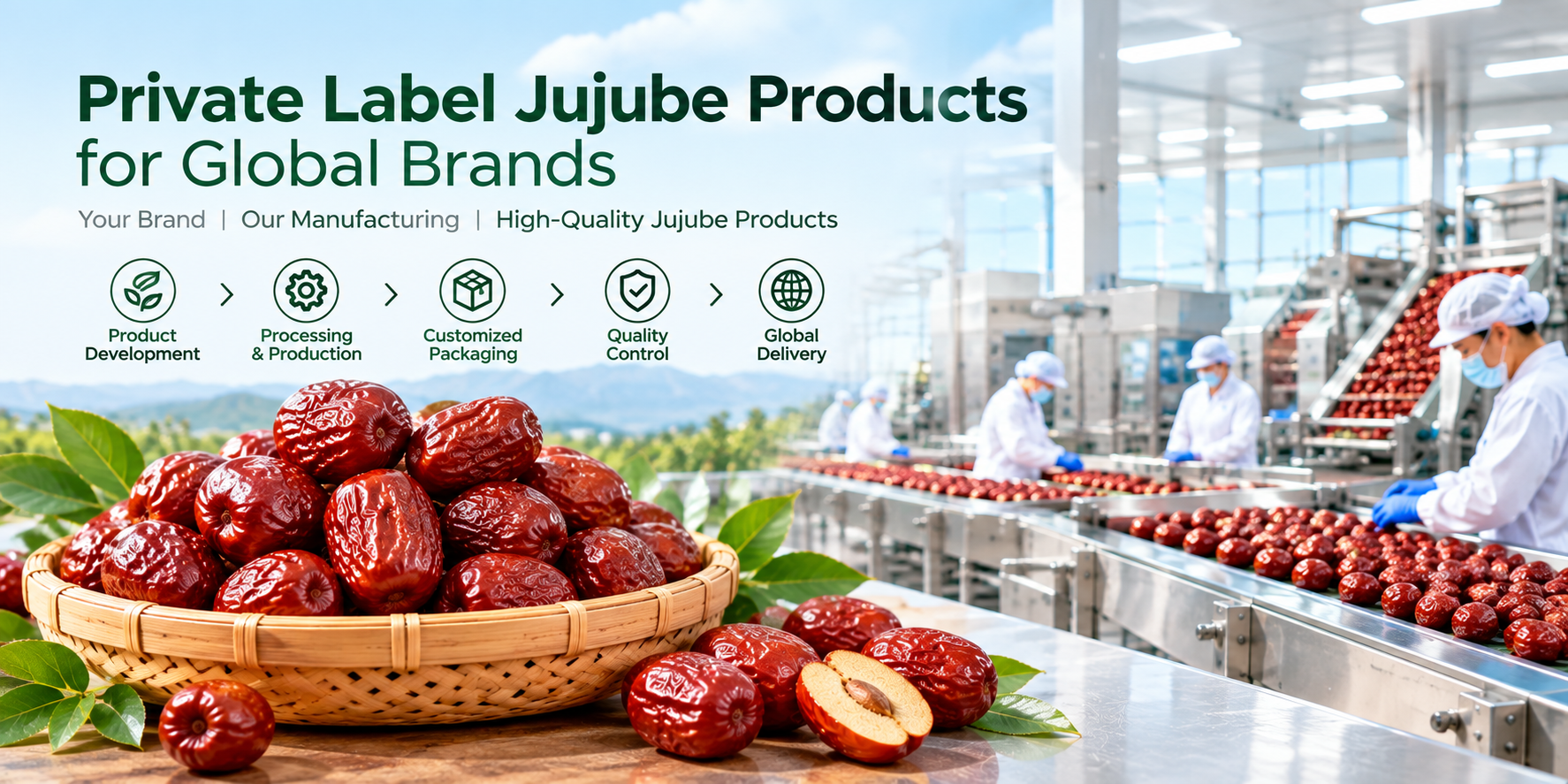Private Label Jujube Products for Global Brands