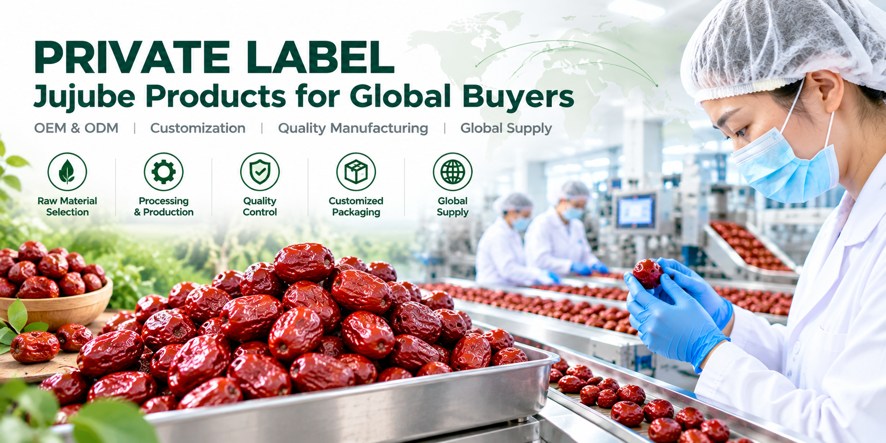 Private Label Jujube Products for Global Buyers